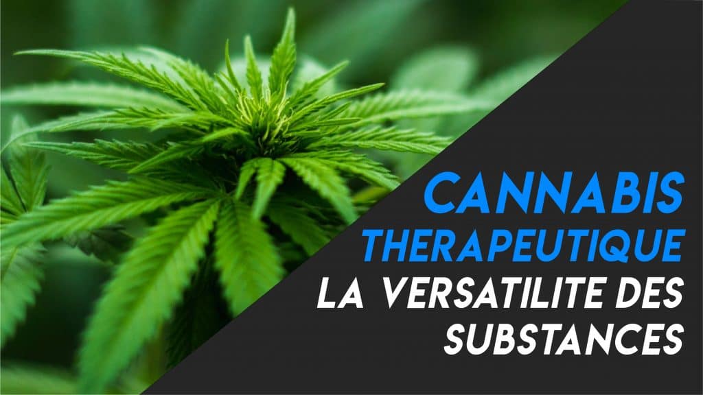 Cannabis thérapeutique