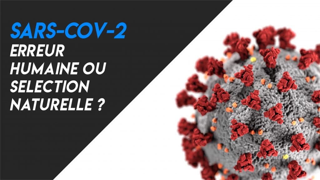 SARS-CoV-2